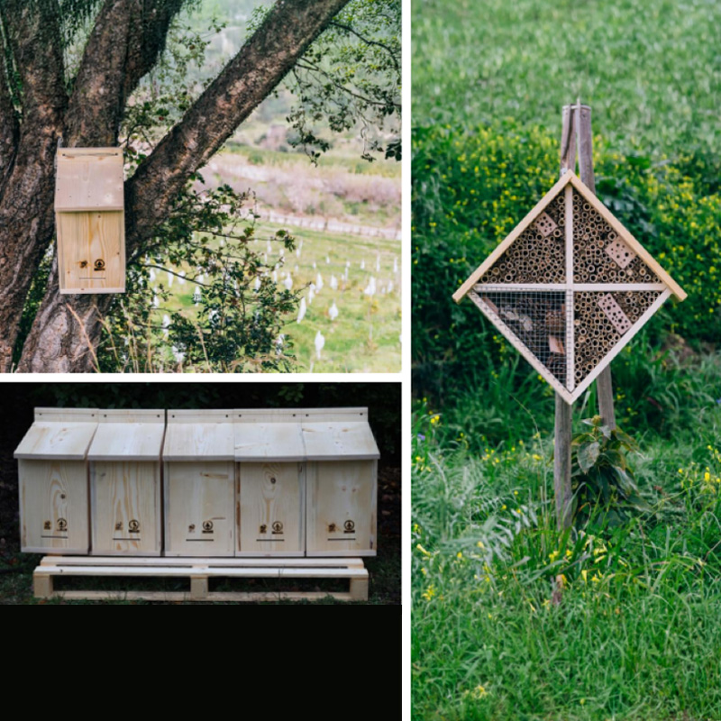 Bee hotels